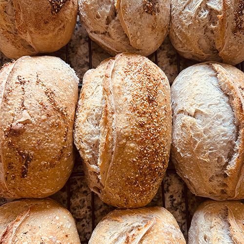 Sugared Acorn Bakery